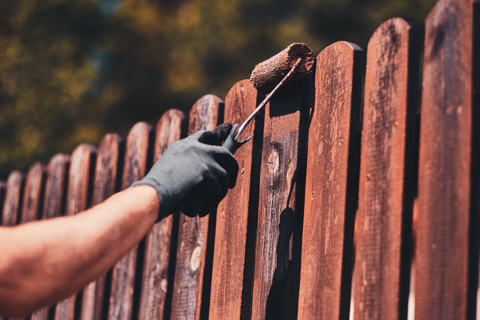 Fence Painting